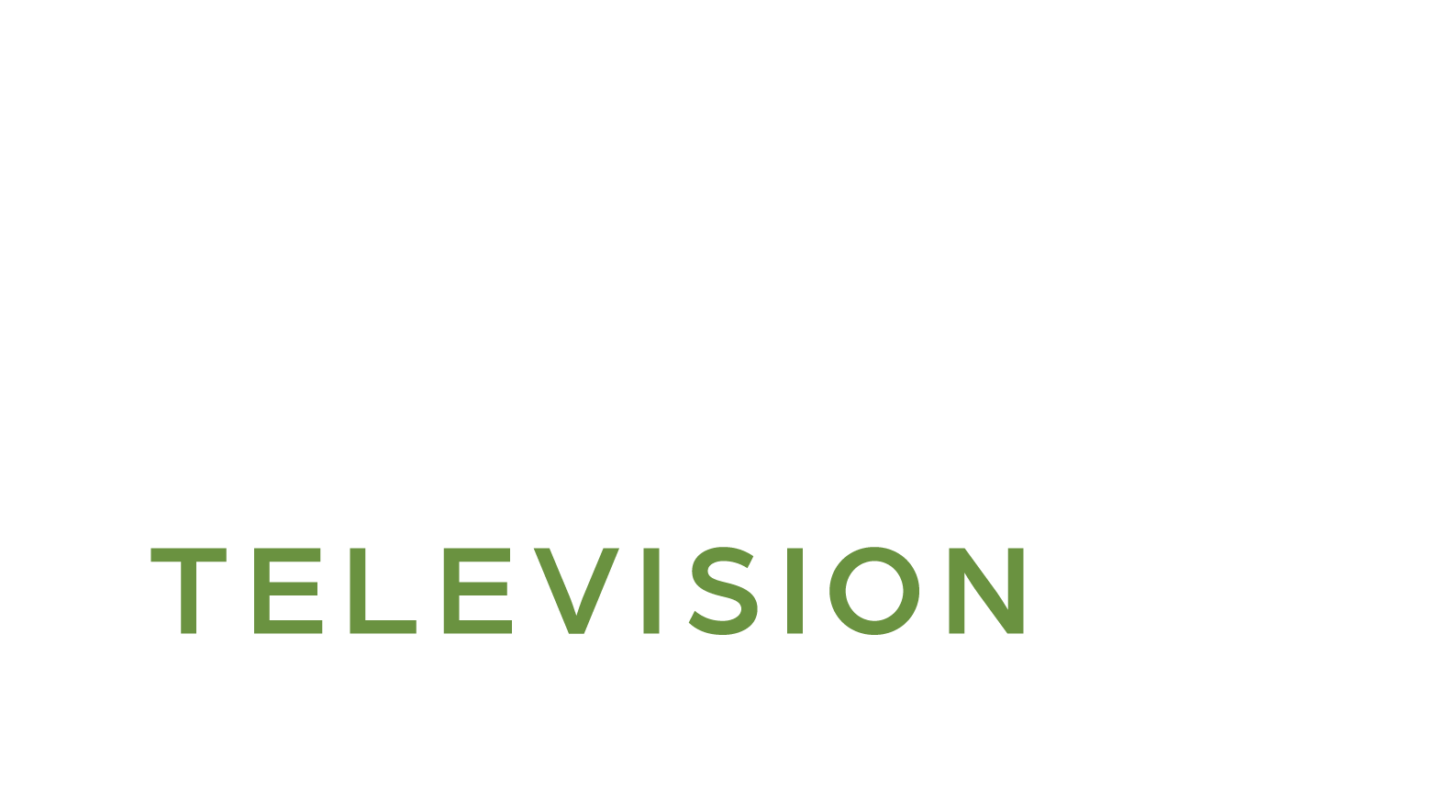 Story Television